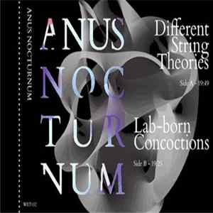 Anus Nocturnum - Anus Nocturnum flac