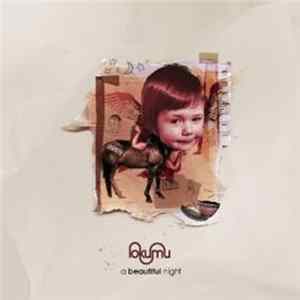 Lokumu - A Beautiful Night flac