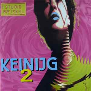 Various - Keinijg 2 flac