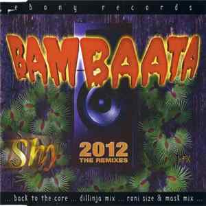 Shy FX - Bambaata (2012 The Remixes) flac