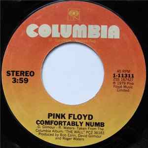 Pink Floyd - Comfortably Numb flac