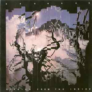 Bauhaus - Burning From The Inside flac