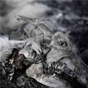 Aphonic Threnody - When Death Comes flac