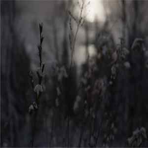 Justin Small - Oh December My Love flac