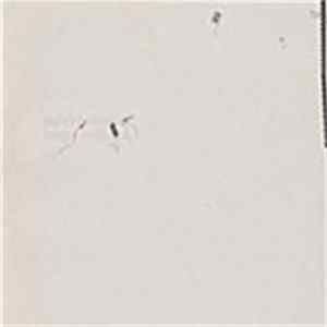 Microstoria - Improvisers flac