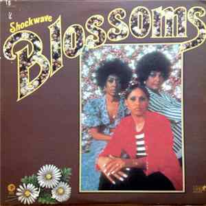 The Blossoms - Shockwave flac