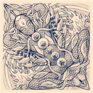 Astral Gnomix - BIG EYE LIVE - Full Live of Shankra Festival 2017 flac