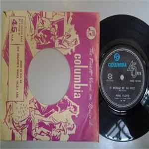 Pink Floyd - It Would Be So Nice flac