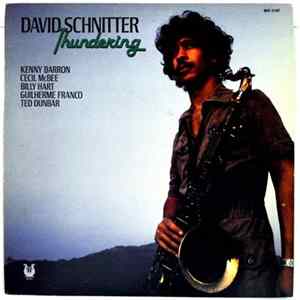 David Schnitter - Thundering flac