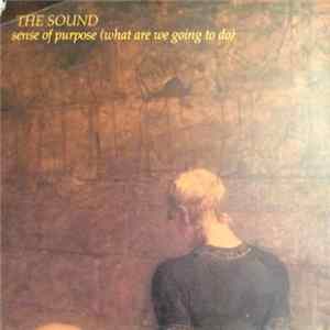 The Sound - Sense Of Purpose (What Are We Going To Do) flac