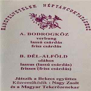 Bekecs Együttes, Nagy Zsolt, Magyar Tekerőzenekar - Bodrogköz / Dél-Alföld flac