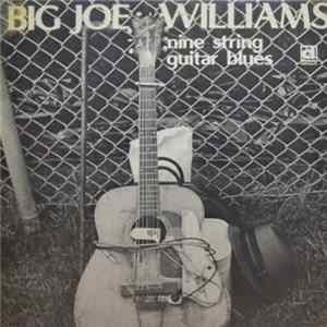 Big Joe Williams - Nine String Guitar Blues flac