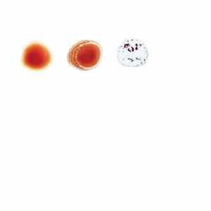 Bon Iver - Come Talk To Me flac