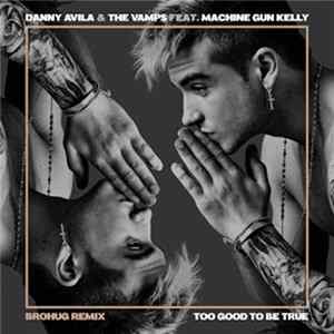 Danny Avila & The Vamps - Too Good to Be True (Brohug Remix) flac