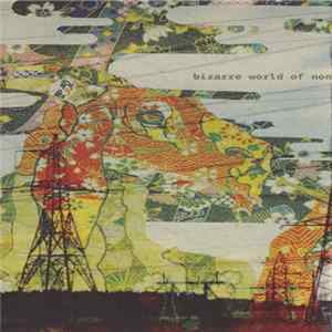 Day Of The Triangle - Bizarre World Of Non flac