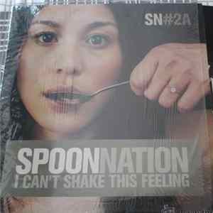 Spoon Nation - I Can't Shake This Feeling flac