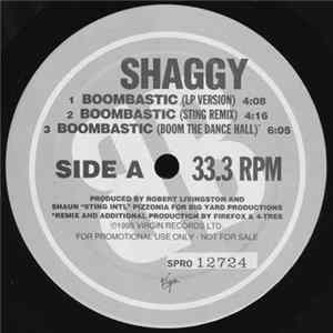 Shaggy - Boombastic flac