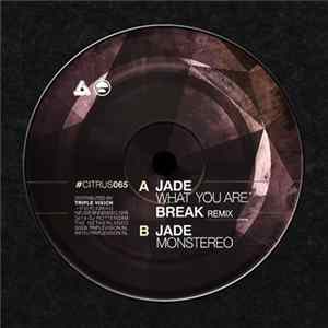 Jade - What You Are (Break Remix) / Monstereo flac