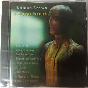Damon Brown - A Bigger Picture flac