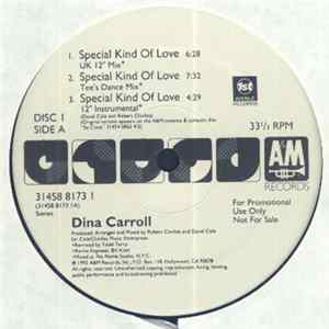 Dina Carroll - Special Kind Of Love flac