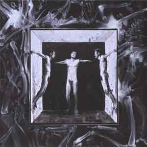 Fleshpress - Tearing Skyholes flac