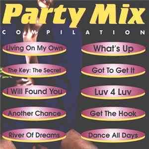 Various - Party Mix Compilation flac