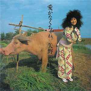 Akiko Yano - 愛がなくちゃね flac
