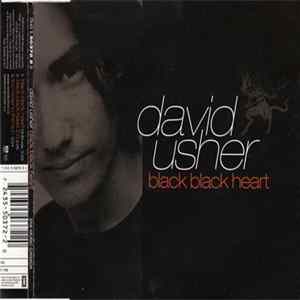 David Usher - Black Black Heart flac