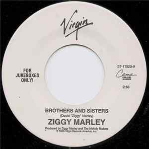 Ziggy Marley - Brothers And Sisters flac