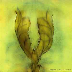 Beequeen - Aughton - The Patient Books flac