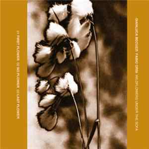 Gianluca Becuzzi & Fabio Orsi - Wildflowers Under The Sofa flac