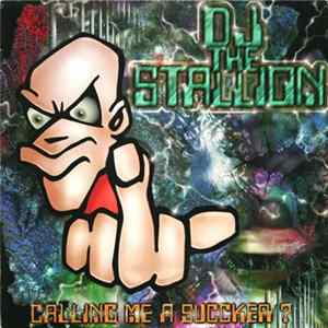 DJ The Stallion - Calling Me A Succker? flac
