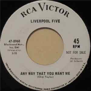 Liverpool Five - Any Way That You Want Me flac