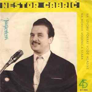 Nestor Gabrić - Na Izvoru Pokraj Vode Hladne / Na Moravi Vodenica Stara flac
