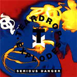 The Teardrop Explodes - Serious Danger flac