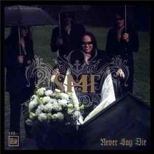 หิน เหล็ก ไฟ - Never Say Die flac