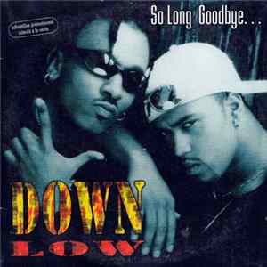 Down Low - So Long Goodbye... flac