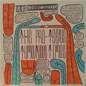 The Pro-Teens - Tumultuous Times flac
