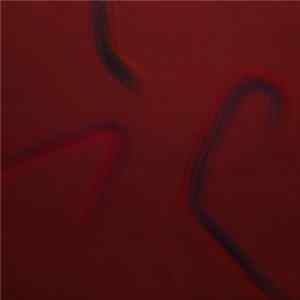 White Palms - Disappearer flac