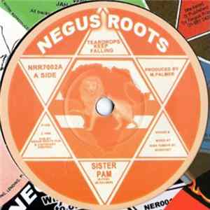 Sister Pam - Teardrops Keep Falling flac