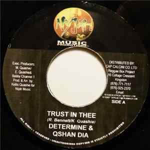 Determine & Qshan Dia - Trust In Thee flac
