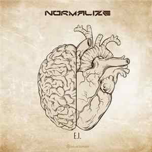 Normalize - E.I. flac
