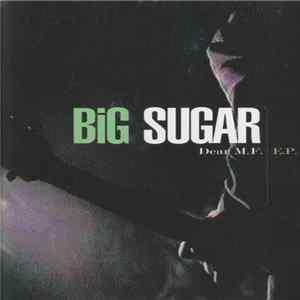 Big Sugar - Dear M.F. flac