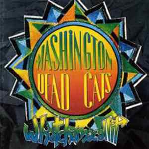 Washington Dead Cats - Whatchamacallit flac