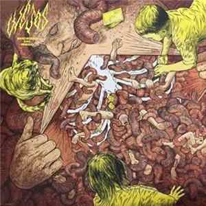 Los Viejos - Sociedad del Miedo flac