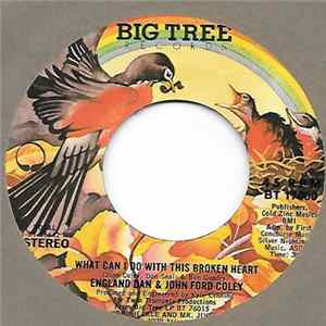 England Dan & John Ford Coley - What Can I Do With This Broken Heart flac