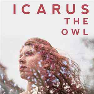 Icarus The Owl - Rearm Circuits flac