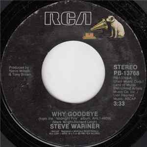 Steve Wariner - Why Goodbye flac
