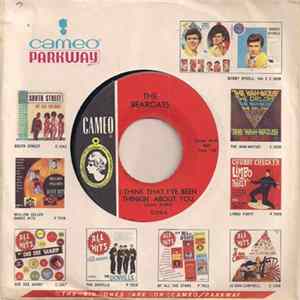 The Bearcats - I Think That I've Been Thinking About You / The Fuzz flac