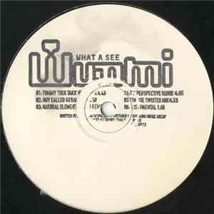 Wunmi - What A See flac